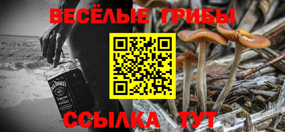 Галлюциногенные грибы Cubensis Знаменск