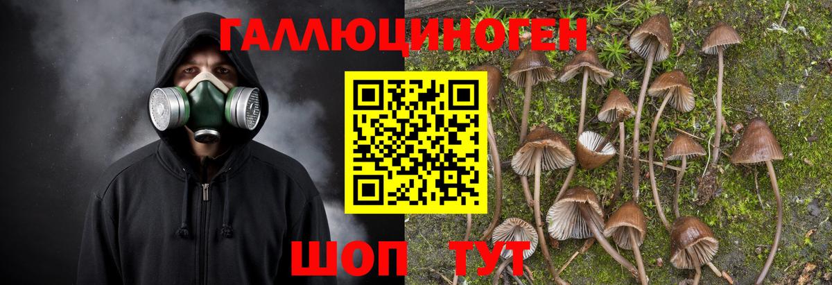 Галлюциногенные грибы Magic Shrooms  Вход с VPN  Знаменск 